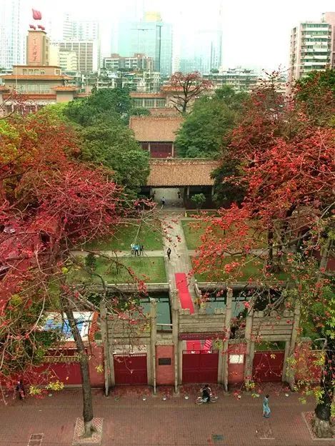 微信图片_20250126100011.jpg