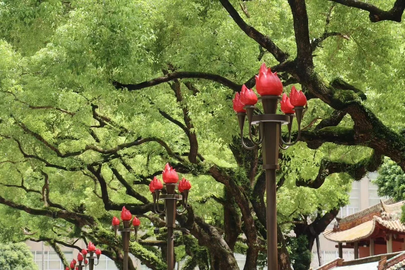 微信图片_20250205152727.jpg